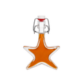 BOUTEILLE FANTAISIE ETOILE 4 CL + FERMOIR METAL
