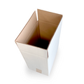 CAISSE 6 ETUI PAILLARDE