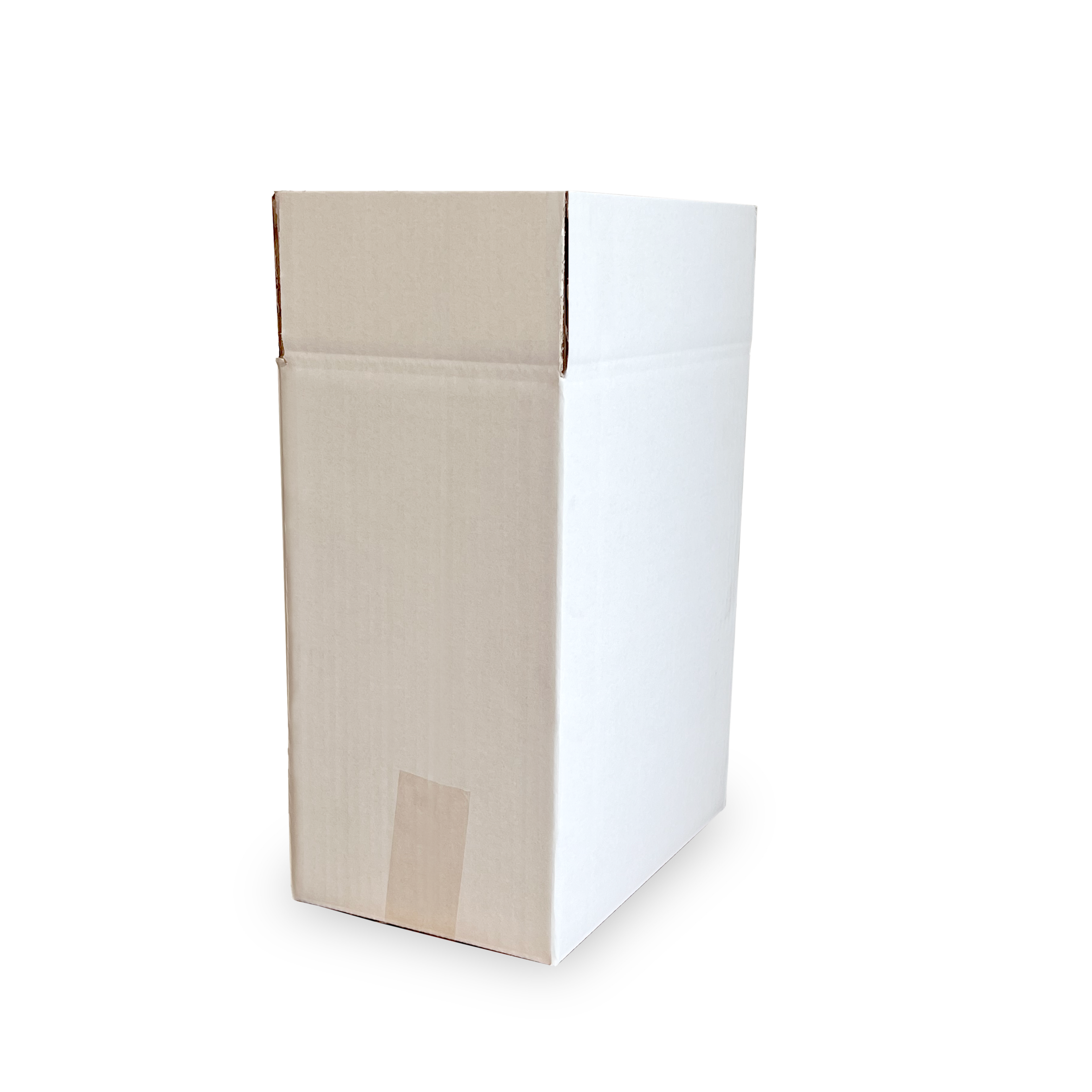 CAISSE 6 ETUI PAILLARDE