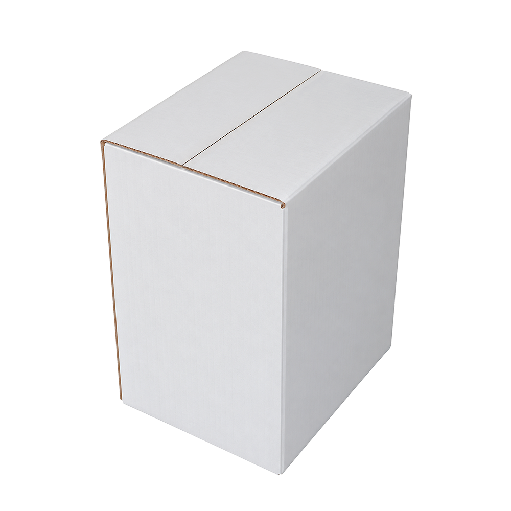 CAISSE 6 PAILLARDE AUTOMATIQUE