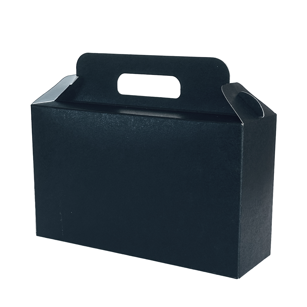 VALISETTE 3 BOUTEILLES 25 CL - NOIR