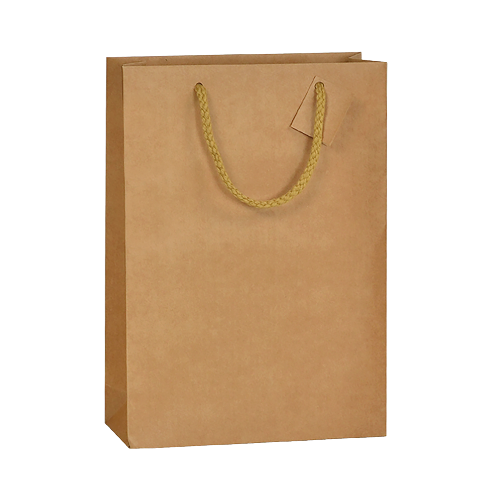 SAC 3 BOUTEILLES KRAFT NATUREL