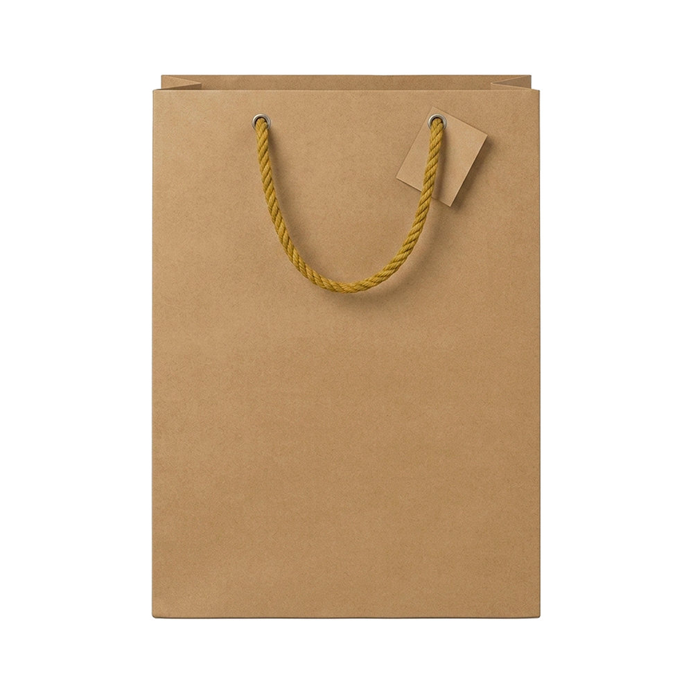 SAC 3 BOUTEILLES KRAFT NATUREL