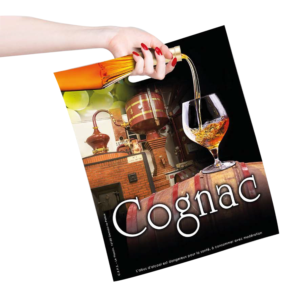 SAC PLASTIQUE 3 BOUTEILLES PINEAU/COGNAC