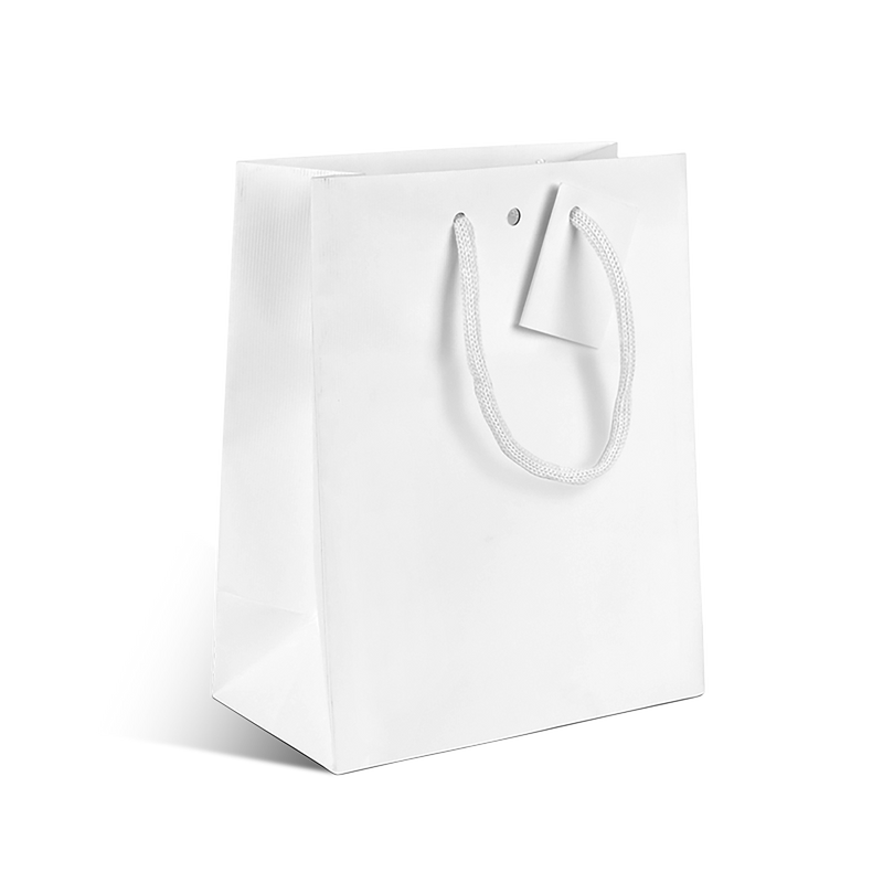 SAC CARAFE BLANC MAT MOYEN MODELE