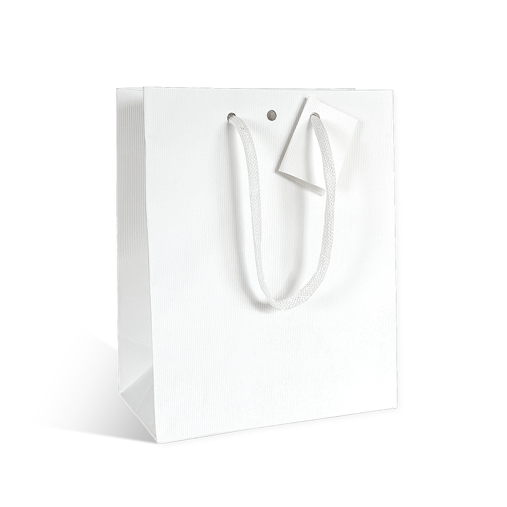 SAC CARAFE BLANC MAT MOYEN MODELE