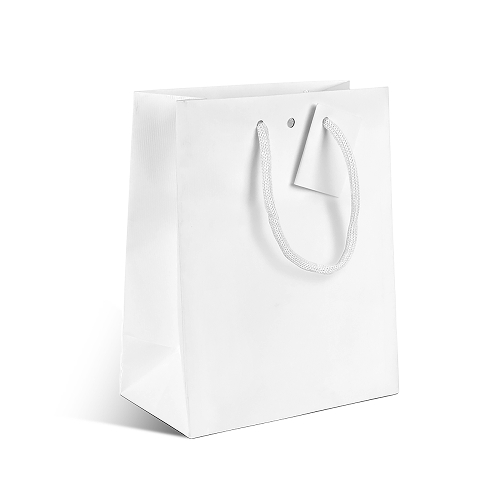 SAC CARAFE BLANC MAT MOYEN MODELE