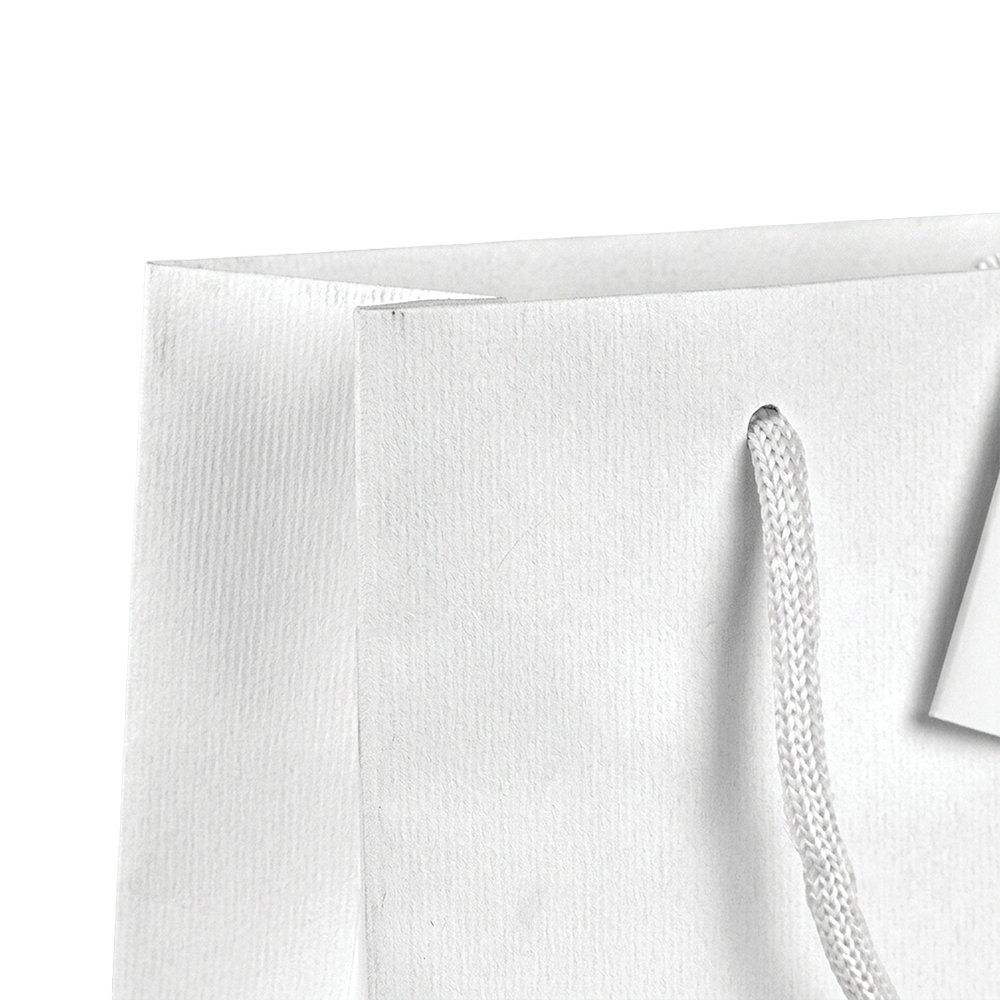 SAC CARAFE BLANC MAT MOYEN MODELE