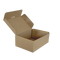 BOITE KRAFT MIGNONNETTES OU SHOOTERS