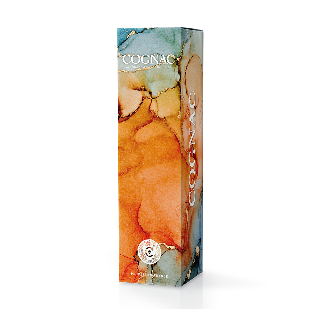 ETUI 1 BOUTEILLE MARBRE
