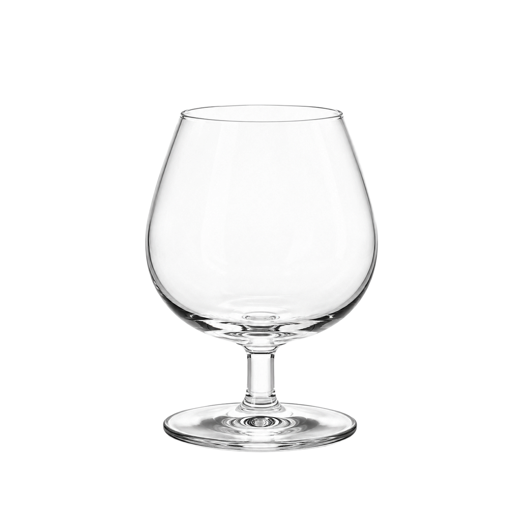 VERRE DEGUSTATION NEUTRE 25CL