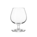 VERRE DEGUSTATION NEUTRE 25CL