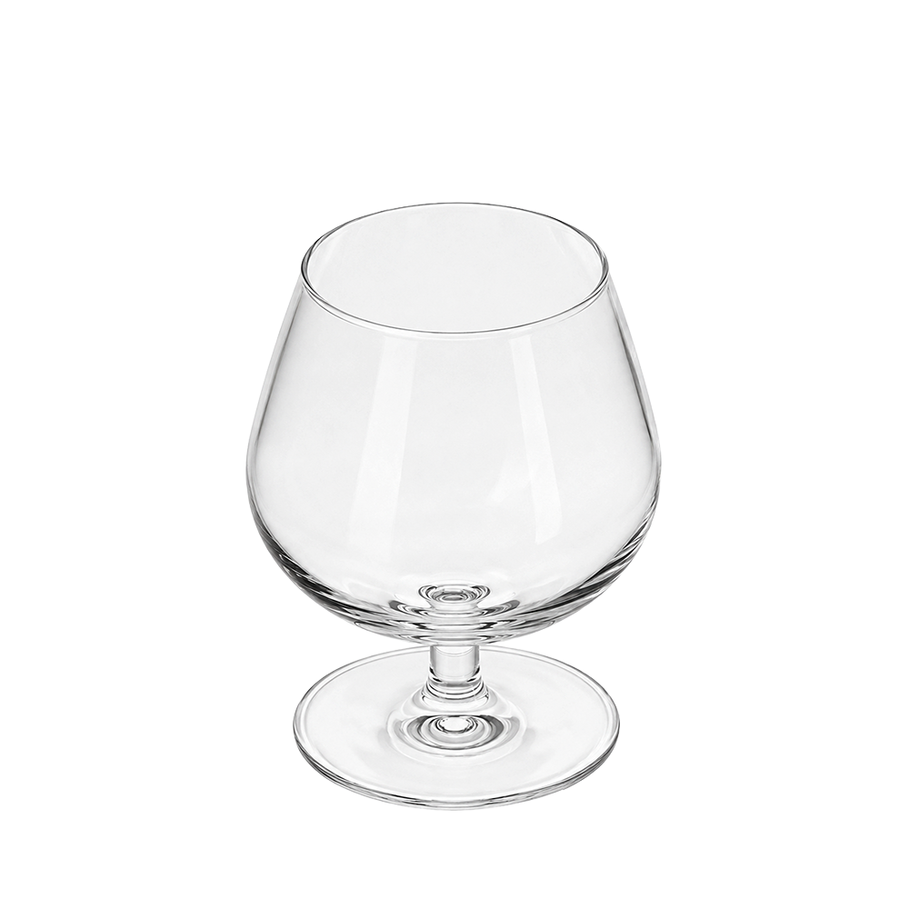 VERRE DEGUSTATION NEUTRE 25CL