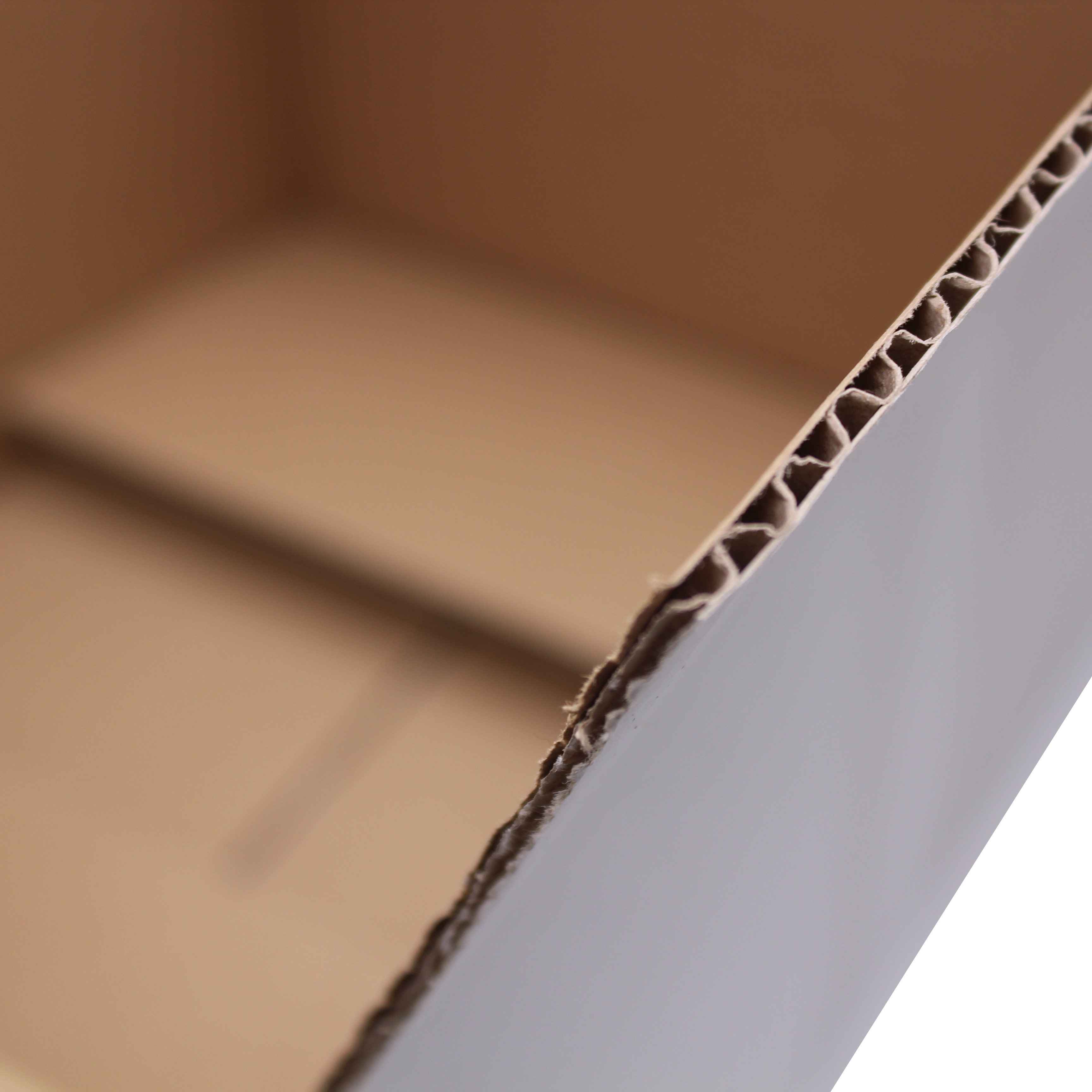 caisse en carton de 6 bouteilles de vins couchées